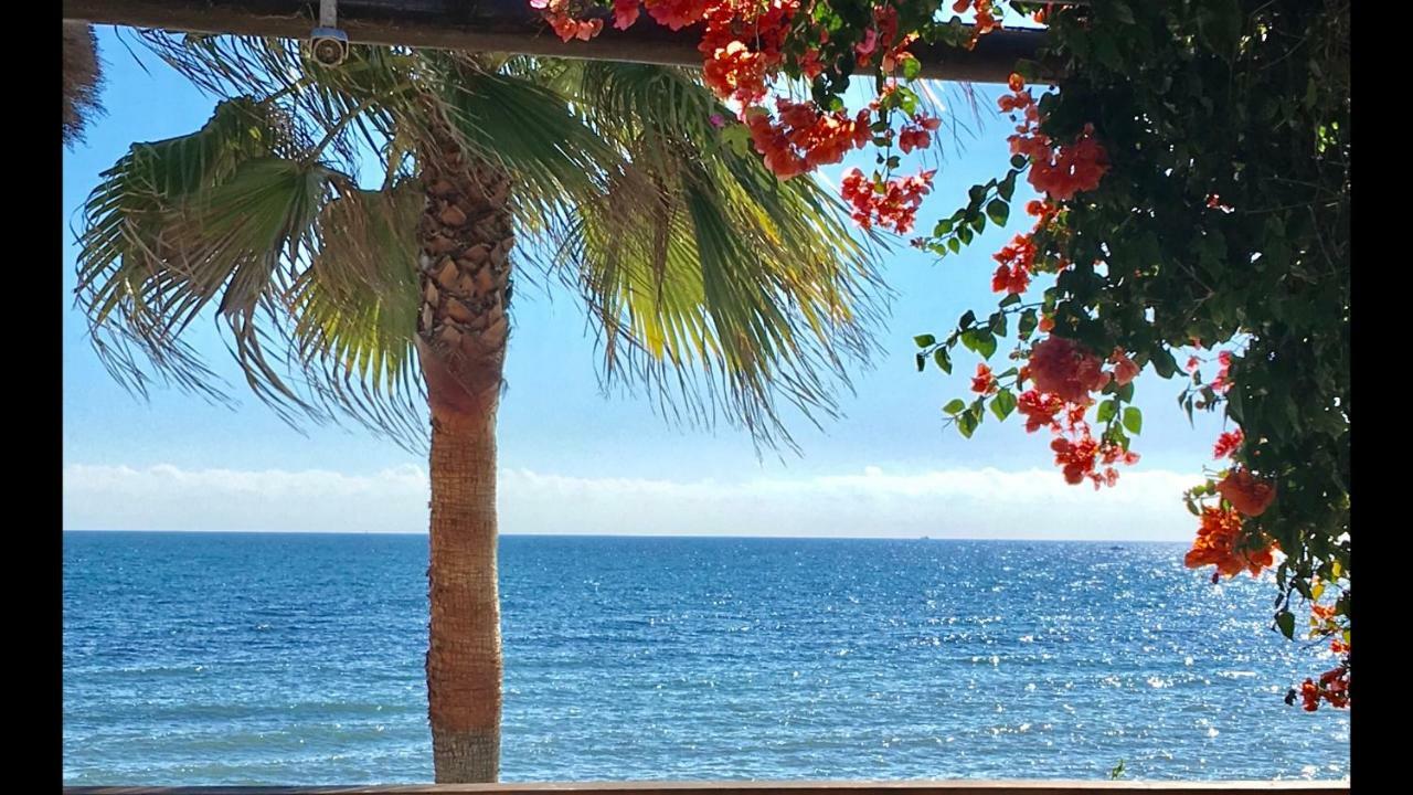 Mi Capricho 9C Beachfront- Apartment With Sea View - Costa Del Sol 라칼라데미야스 외부 사진